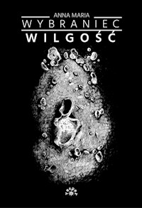 Wilgość - Wybraniec Anna Maria - książka