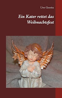 Ein Kater rettet das Weihnachtsfest - Uwe Goeritz - ebook