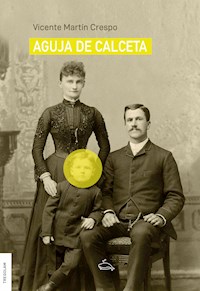Aguja de calceta - Vicente Martín Crespo - ebook