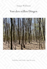 Von den stillen Dingen - Ansgar Wallstein - ebook