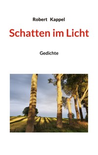 Schatten im Licht - Robert Kappel - ebook
