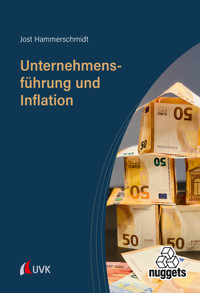 Unternehmensführung und Inflation - Jost Hammerschmidt - ebook