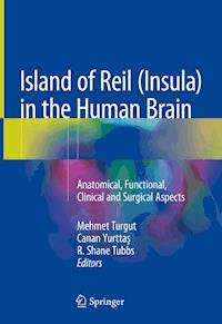 Island of Reil (Insula) in the Human Brain - - ebook