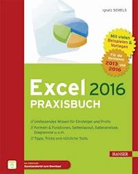 Excel 2016 Praxisbuch - Ignatz Schels - ebook