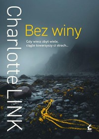Bez winy - Charlotte Link - ebook + audiobook + książka