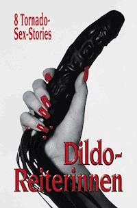 Dildo-Reiterinnen - Anonymus - ebook