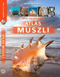 Atlas muszli - Maja Prusińska - książka
