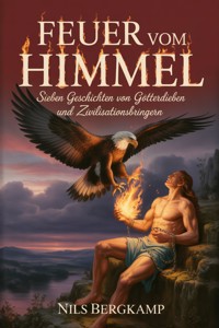 Feuer vom Himmel - Nils Bergkamp - ebook