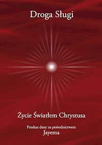 Droga sługi - Jayem  - ebook