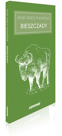 Moje szkice podróżne Bieszczady -  - książka