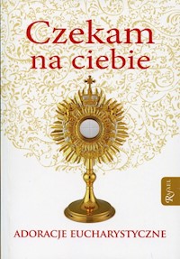 Czekam na ciebie -  - książka