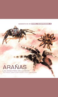 Arañas - Yann Hénaut - ebook