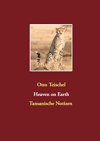 Heaven on Earth - Otto Teischel - ebook