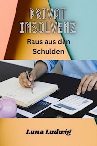 Privat Insolvenz Raus aus den Schulden - Ludwig Luna - ebook