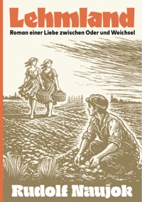 Lehmland - Rudolf Naujok - ebook