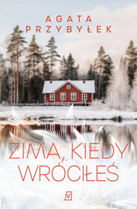 Zima, kiedy wróciłeś - Agata Przybyłek - ebook + audiobook + książka