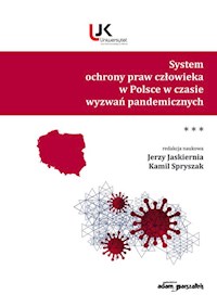 System ochrony praw człowieka w Polsce w czasie wyzwań pandemicznych. Tom 3 -  - książka