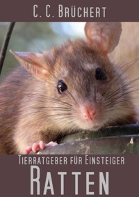 Tierratgeber für Einsteiger - Ratten - C. C. Brüchert - ebook