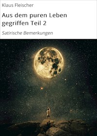 Aus dem puren Leben gegriffen Teil 2 - Klaus Fleischer - ebook