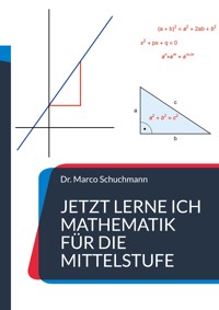 Jetzt lerne ich Mathematik für die Mittelstufe - Marco Schuchmann - ebook