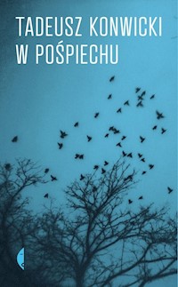 W pośpiechu - Kaniecki Przemysław, Konwicki Tadeusz - książka