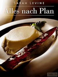 Alles nach Plan - Sarah Levine - ebook