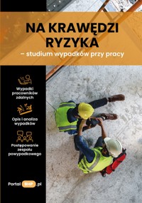 Na krawędzi ryzyka – studium wypadków przy pracy - zbiorowa praca - ebook