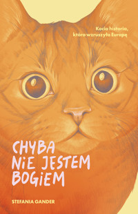 Chyba nie jestem Bogiem - Stefania Gander - ebook + audiobook + książka