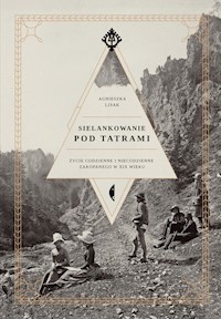 Sielankowanie pod Tatrami - Agnieszka Lisak - książka