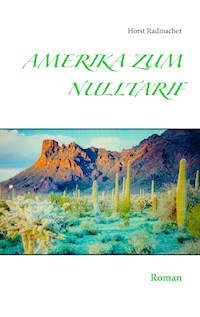 Amerika zum Nulltarif - Horst Radmacher - ebook