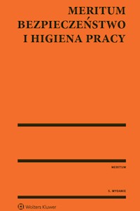 Bezpieczeństwo i Higiena Pracy Meritum -  - książka