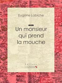Un monsieur qui prend la mouche - Eugène Labiche - ebook