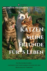 KATZEN - meine Freunde für's Leben - Nicolette Ostermeier - ebook