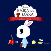 Jedna bajka i do łóżka! Nocne hałasy - Didier Zanon, Pelon Sebastien - książka