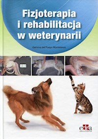Fizjoterapia i rehabilitacja w weterynarii - Pueyo Montesinos Gemma del - książka