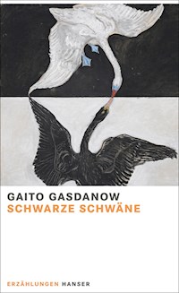 Schwarze Schwäne - Gaito Gasdanow - ebook