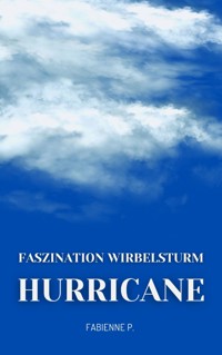 Hurricane - Fabienne P. - ebook