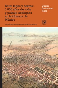 Entre lagos y cerros. 5000 años de vida y paisaje ecológico en la cuenca de México - Carlos Brokmann Haro - ebook