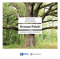 Drzewa Polski - Zarzyński Paweł, Tomusiak Robert, Borkowski Krzysztof - książka