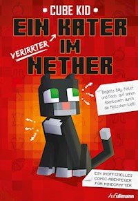 Ein verirrter Kater im Nether - Kid Cube - ebook