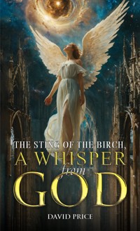 The Sting of the Birch, a Whisper from God - David Price - ebook