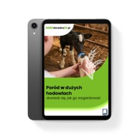 Poród w dużych hodowlach – dowiedz się, jak go zorganizować - Joanna Cała - ebook
