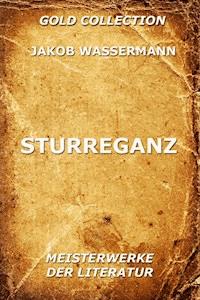 Sturreganz - Jakob Wassermann - ebook