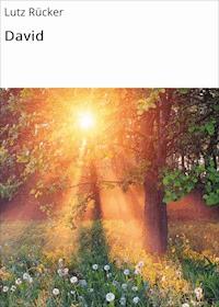 David - Lutz Rücker - ebook