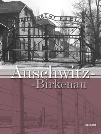 Auschwitz-Birkenau - zbiorowa praca - książka