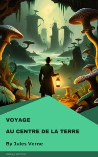 Voyage au centre de la Terre - Jules Verne - ebook