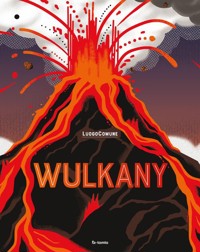 Wulkany -  - książka
