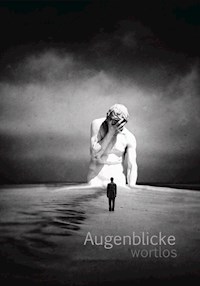 AugenblickeWortlos - Carsten Nichte - ebook