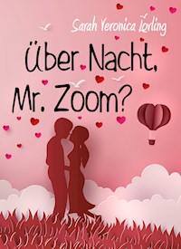 Über Nacht, Mr. Zoom? - Sarah Veronica Lovling - ebook