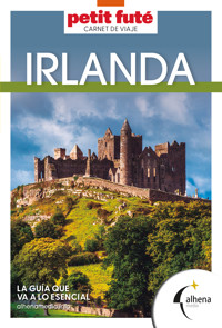 Irlanda – Carnet de viaje - VVAA - ebook